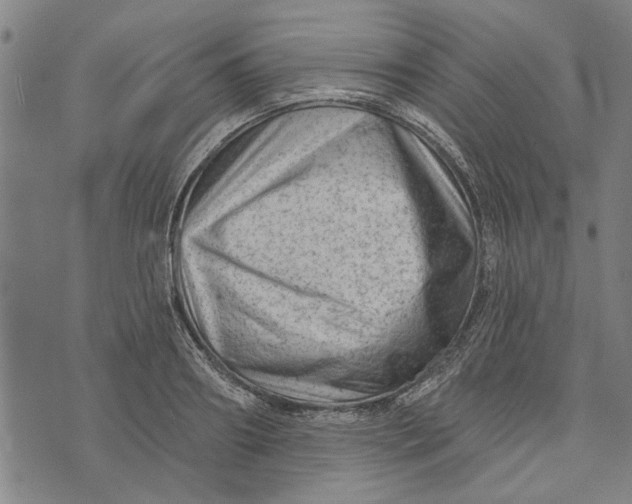 X0000073730890200608241254