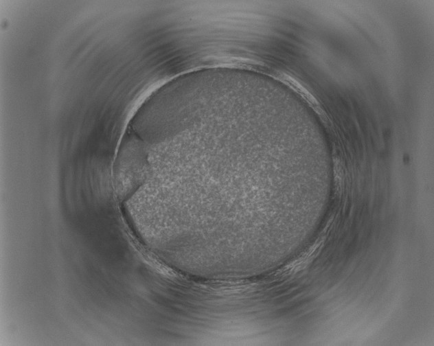 X0000073730891200608241254