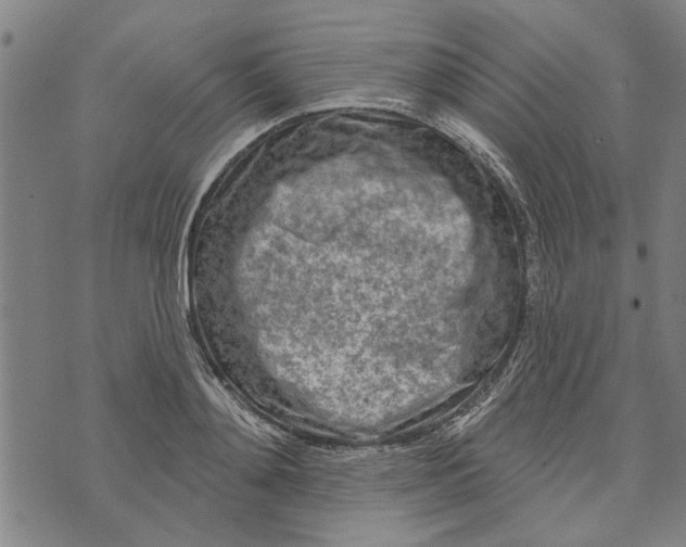 X0000073730892200608241254