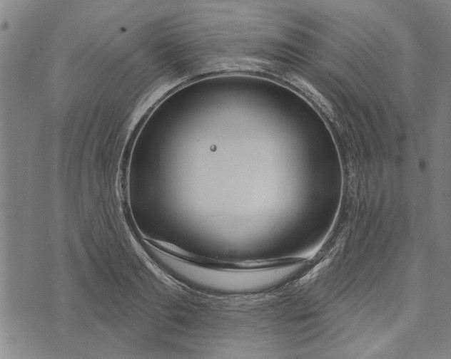 X0000073730893200608241254