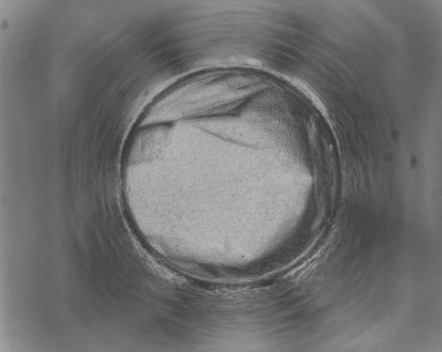 X0000073730895200608241254