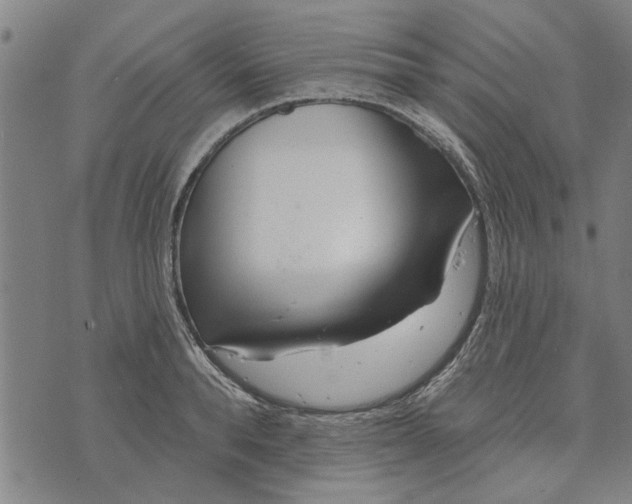 X0000073730896200608241254