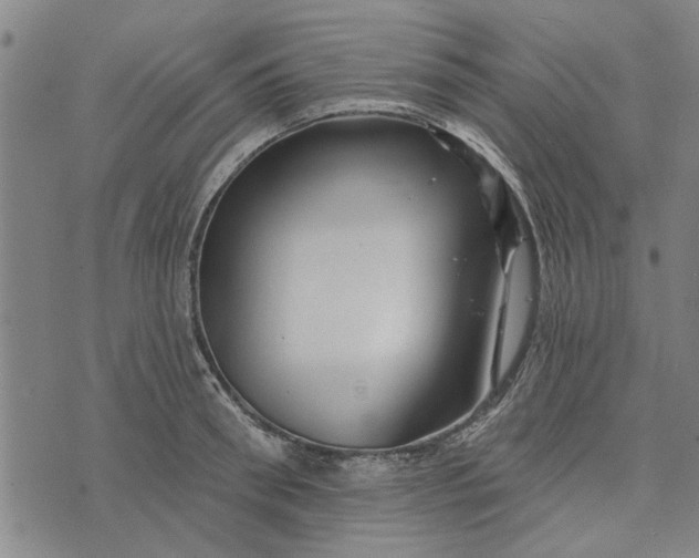 X0000073730898200608241254