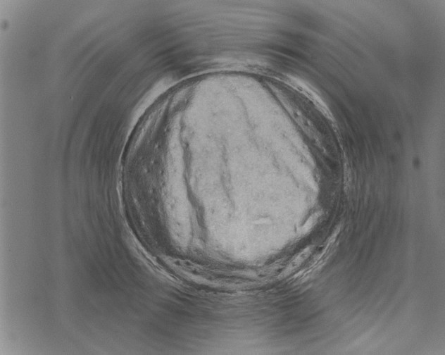 X0000073730899200608241254