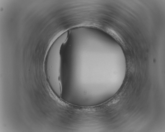 X0000073730900200608241254