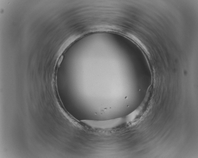 X0000073730901200608241254