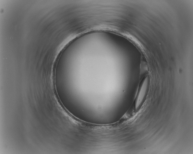 X0000073730902200608241254