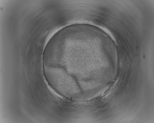 X0000073730903200608241254