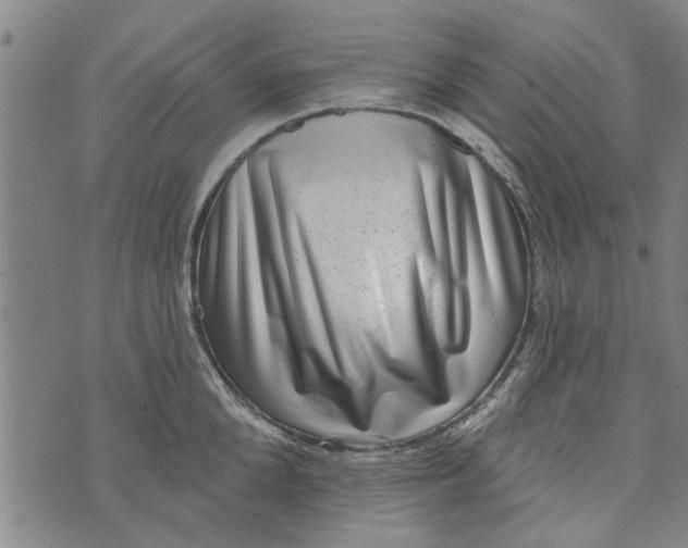 X0000073730904200608241254