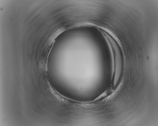 X0000073730905200608241254