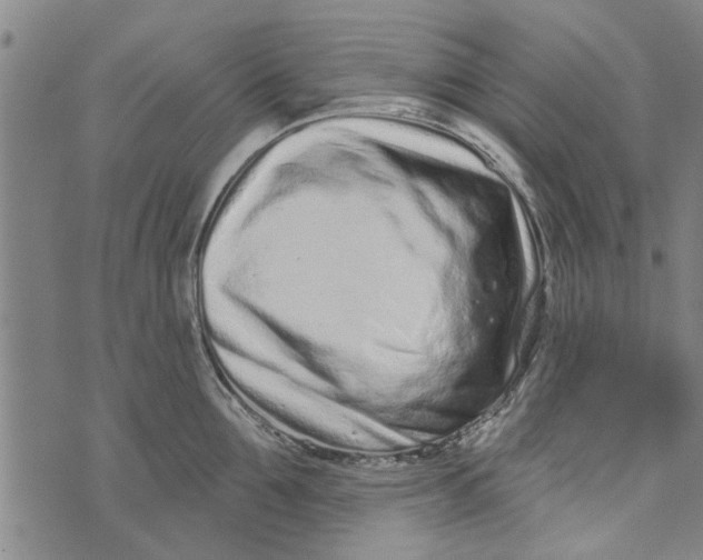 X0000073730907200608241254