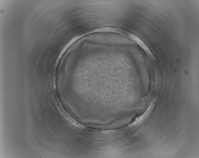 X0000073730908200608241254