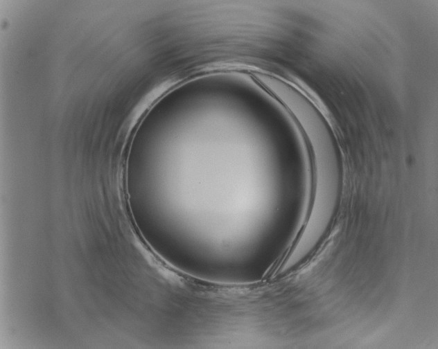 X0000073730909200608241254