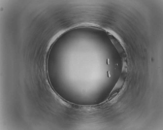 X0000073730910200608241254