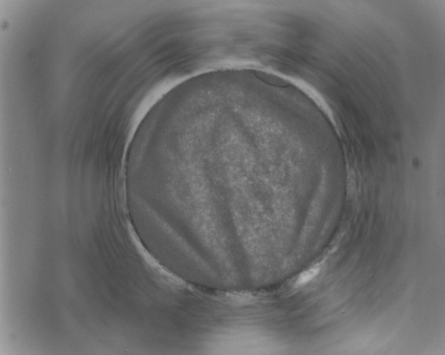 X0000073730911200608241254