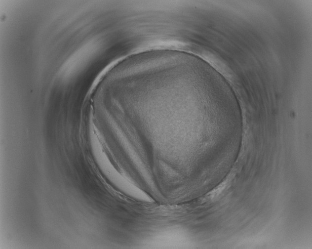 X0000073730912200608241254