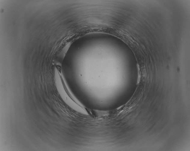 X0000073730916200608241253