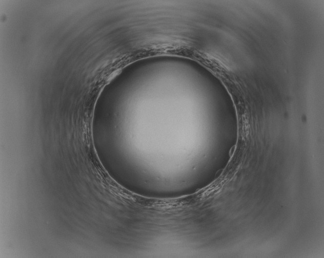 X0000073730917200608241253