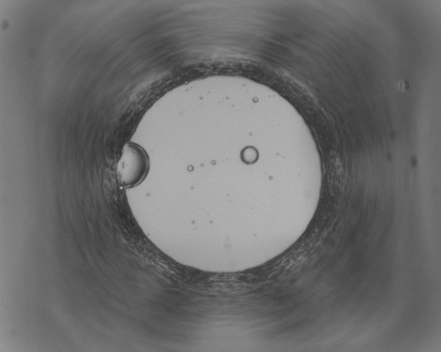 X0000073730918200608241253