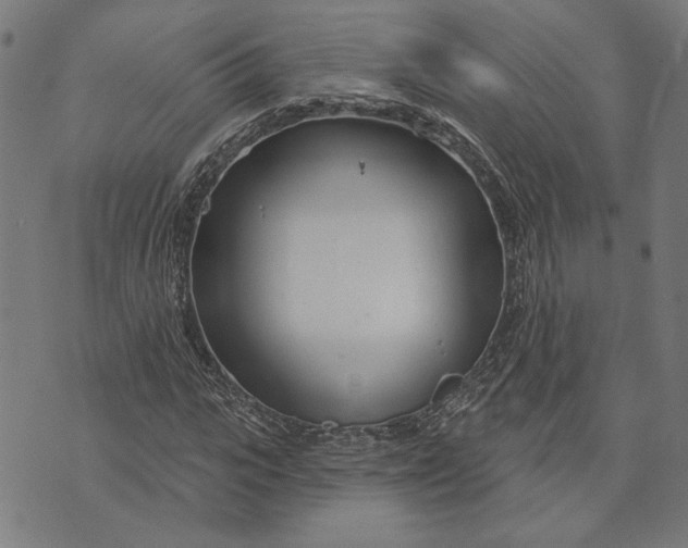 X0000073730919200608241253