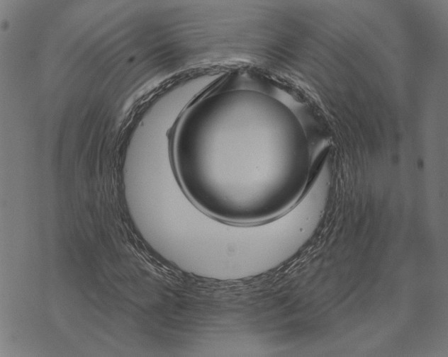 X0000073730920200608241253