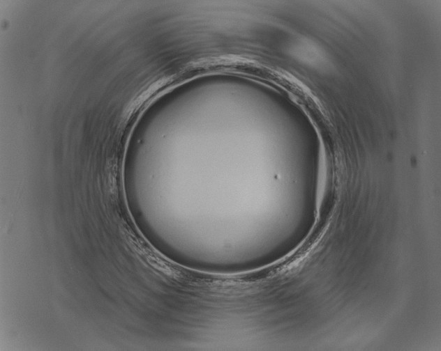 X0000073730921200608241253