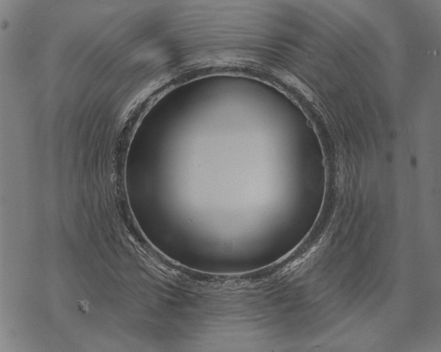 X0000073730922200608241253