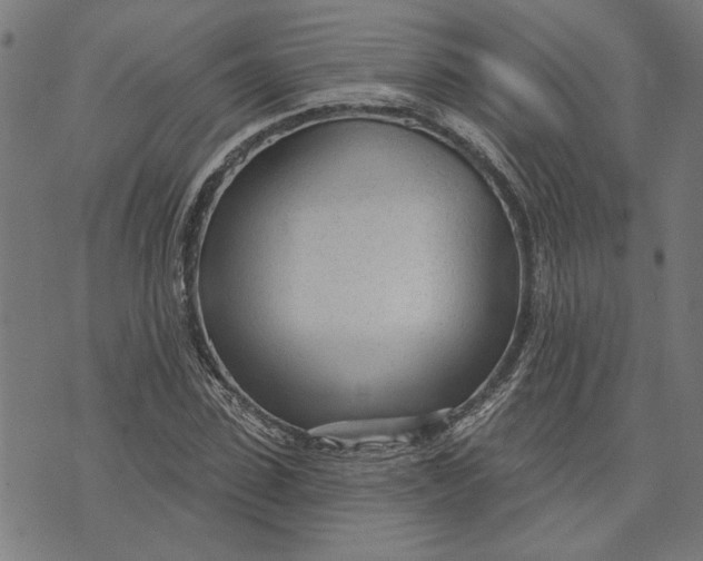 X0000073730923200608241253