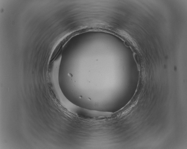 X0000073730924200608241253