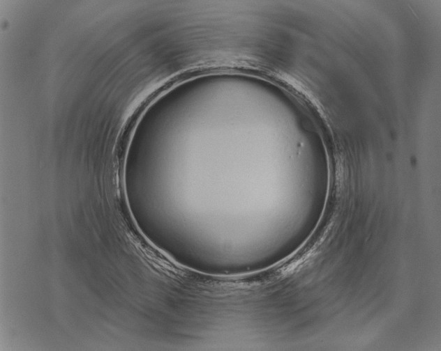 X0000073730925200608241253