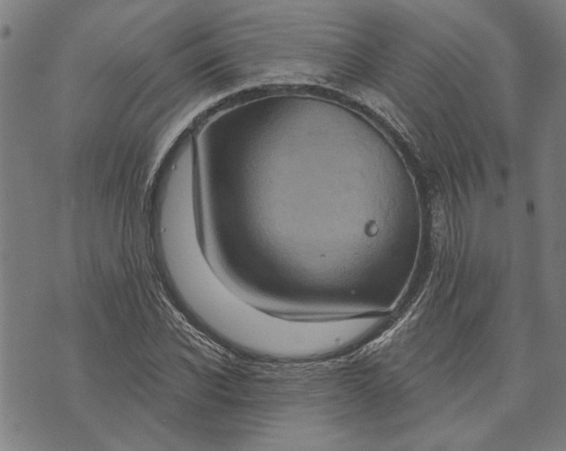 X0000073730926200608241253