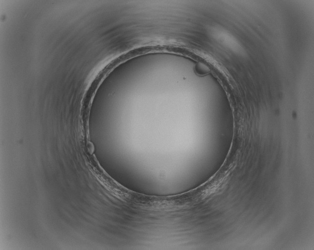 X0000073730927200608241253