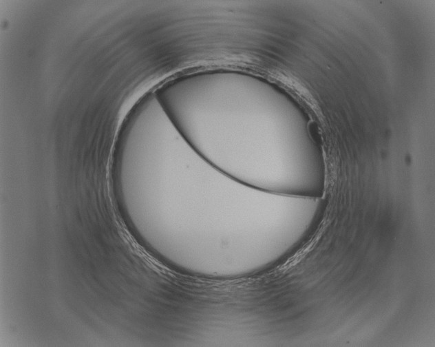 X0000073730928200608241253