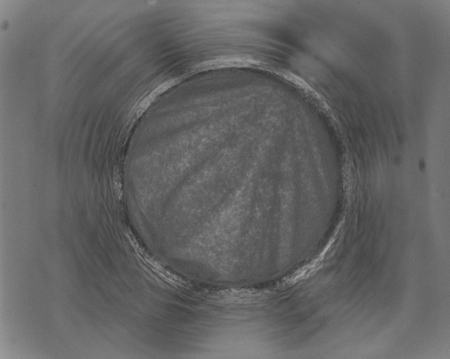 X0000073730929200608241253