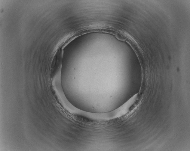 X0000073730930200608241253