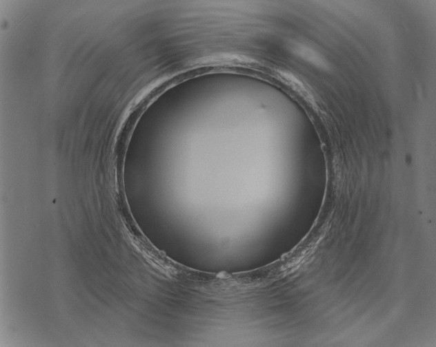 X0000073730931200608241253