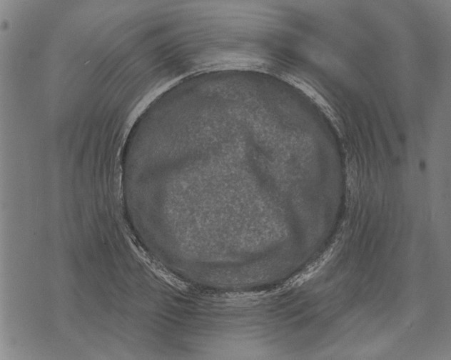 X0000073730933200608241253