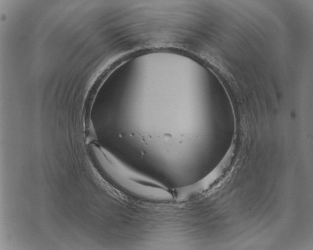 X0000073730934200608241253