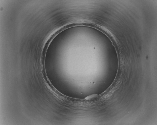 X0000073730935200608241253