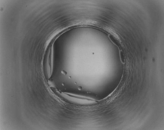 X0000073730936200608241253