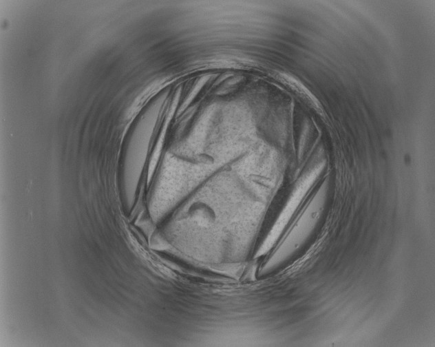 X0000073730938200608241253