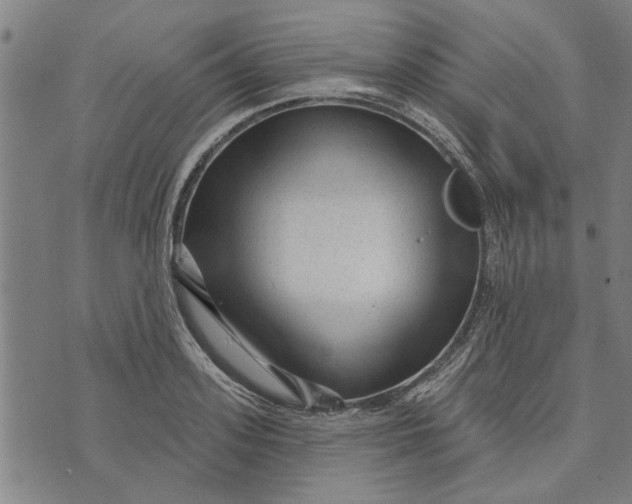 X0000073730939200608241253