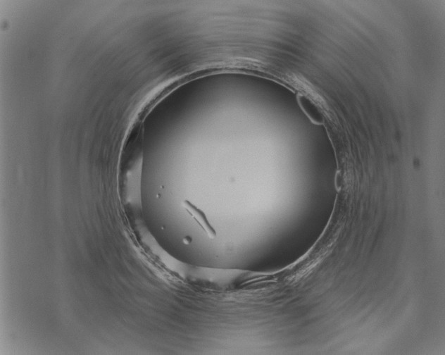 X0000073730940200608241253