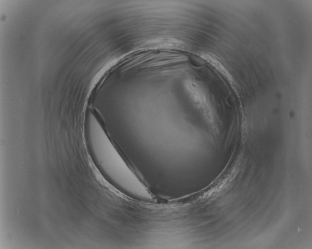 X0000073730941200608241253