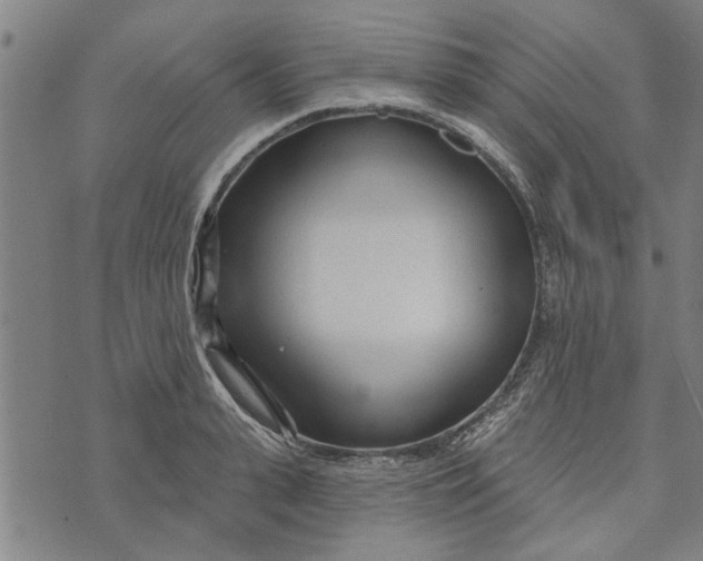 X0000073730943200608241253