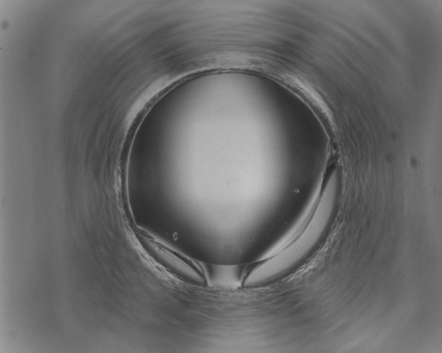 X0000073730944200608241253