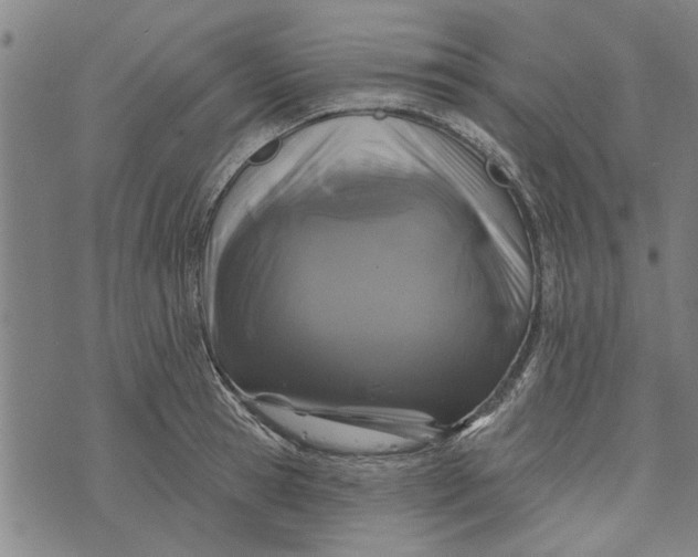 X0000073730945200608241253