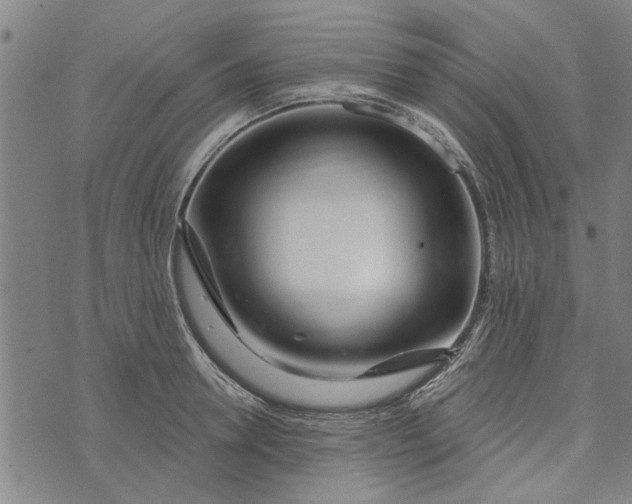 X0000073730946200608241253