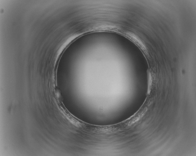 X0000073730948200608241253