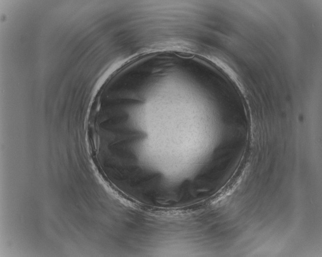 X0000073730949200608241253